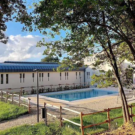 Pet Friendly In Daire